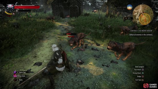 Head to the cemetery and kill some Rabid Dogs,