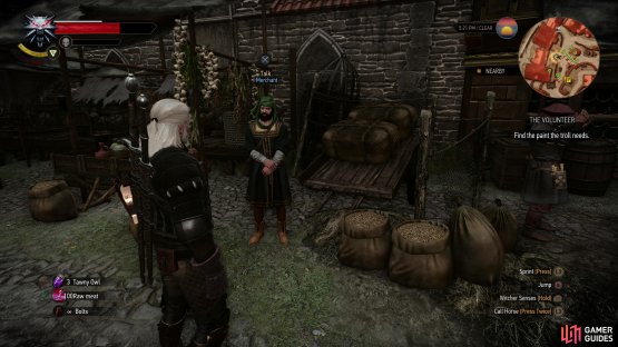 If you spare the Rock Troll, seek out a merchant along the northwestern edge of Oxenfurt,