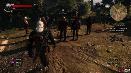 Approach a crowd on the outskirts of Oxenfurt,