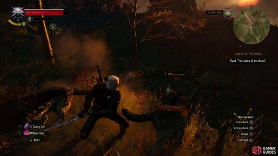 Alternatively you can just stumble across the Whispering Hillock. Either way, a disembodied voice and its pet Wolves greet you when you arrive.