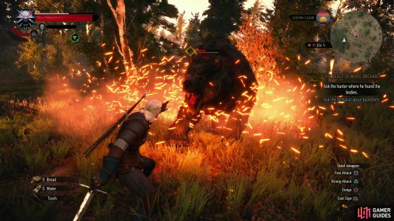 A bear guards the Place of Power east of the Abandoned Village - Igni&rsquo;s damage over time can drain its health bar significantly.