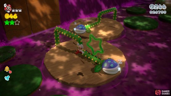 Hop through the ring and collect the green coins for the third Green Star