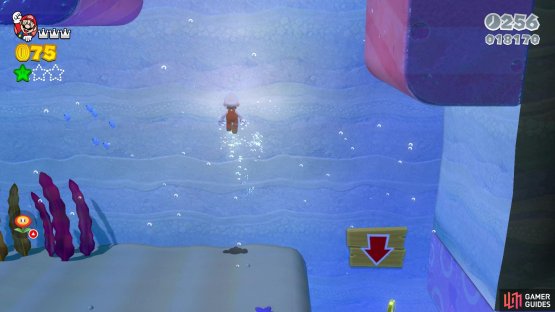 Swim up here to find the area with the Stamp