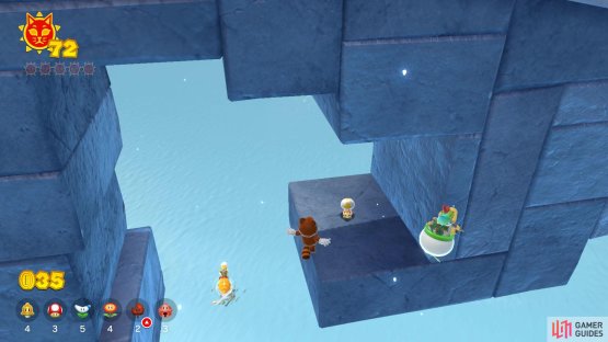 where you&rsquo;ll find the Toad on a ledge underneath the bridge
