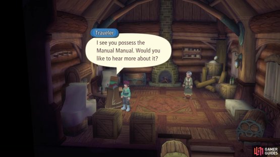 You can get the Manual Manual here, if you didn&rsquo;t buy it in Lhant.