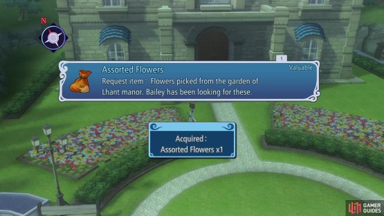 Loot the sparkling spot in front of Lhant Manor to get the Assorted Flowers.