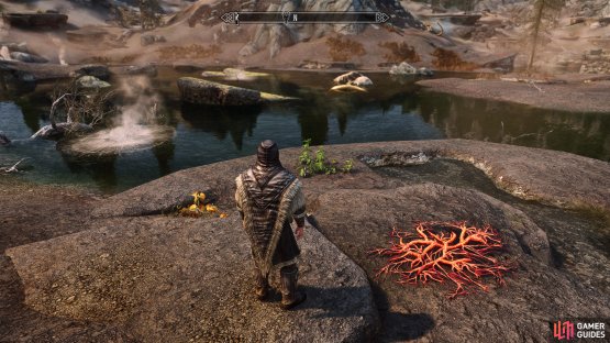 You&rsquo;ll find plenty of Creep Clusters, Jazbay Grapes, and Dragon&rsquo;s Breath in the hot springs.