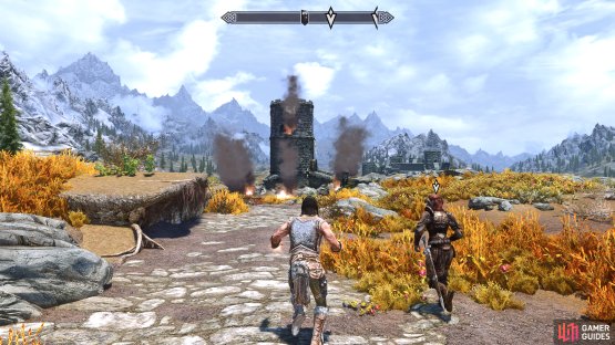 Approach the tower with Irileth and the guards.