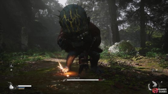 There are many optional bosses to fight