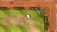 096: In the top right corner of the middle space outside Hapu&rsquo;s house.