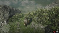 Look for the button prompt on the southern side of the island