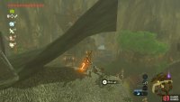 This is the Cucco on the roof of the armor store