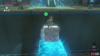 You can then use the cube to get extra height to reach the end of the shrine. 