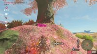 You&rsquo;ll need to use Magnesis to pull the chest from the ground beneath the Cherry Blossom Tree. 