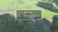 Tingle&rsquo;s Hood is the Fairy clothing headgear.