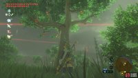 Like its name suggests, it&rsquo;s a forest rich with apples.