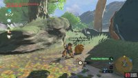 The bees will chase you, but you can outrun them or toss a bomb when you&rsquo;re far from the Hinox.