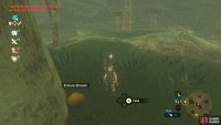 You&rsquo;ll find the shrooms near the base of the massive, mushroom-shaped trees.