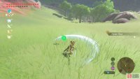 Cut down tall grass using a sword or similar sharp weapon.