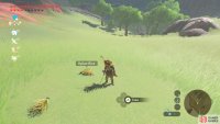If you&rsquo;re lucky, you may reap Hylian Rice.