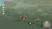 After defeat, they&rsquo;ll drop 2 items, with a 40% chance of a Raw Gourmet Meat.