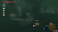 Woodland Boars will drop one or two slabs of meat.