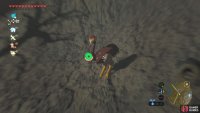 If possible, glide down and then use the bullet-time effect to shoot arrows at multiple Ostrich.