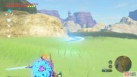 Cut the grass with a sharp weapon or the Master Sword&rsquo;s beam attack.