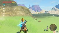 If you&rsquo;re lucky, Tabantha Wheat may appear.
