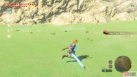 After cutting all the grass, it will re-grow if you leave and come back.