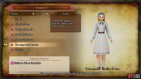 The Mega Medal Maniac costume for Serena