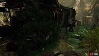 Find the vegetation wall on the upper platform