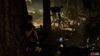 Hide in the trees to perform stealth moves