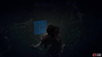 Open the gate