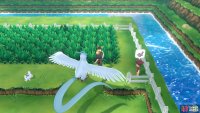 019 Rattata - Route 10: Above the Pok&eacute;mon Center. 