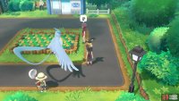 043 Oddish - Viridian City: Towards the east. 