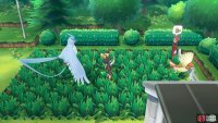 058 Growlithe - Route 7: North-east corner. 