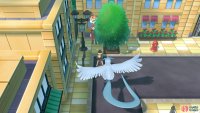 078 Rapidash - Saffron City: North-west corner, hiding next to tree. 