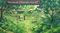 then talk to the chicobo to gain the Chicobo Card.