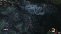 attack it&rsquo;s head while it&rsquo;s on it&rsquo;s back