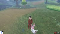 Cobalion&rsquo;s footprints begin from the river along the south side of the Giant&rsquo;s Bed.