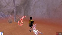 1/10: From the entrance, turn left, while keeping close to the edge of the zone. Nearby, there&rsquo;s a Pok&eacute;mon Den. It&rsquo;s hiding a few paces away from the den, near the tree and cliff wall.