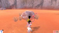 10/10: From Diglett 9, if Warm-Up Tunnel is still on your left, there should be a boulder and vegetation directly ahead, away from the cliff wall. Go over there and check around the right for the final cause of migraine.
