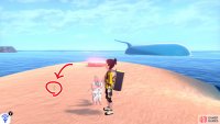 1/11: Start from Armor Station in the Fields of Armor (fly there, if possible), then enter the ocean straight ahead. Head towards the first islet that&rsquo;s ahead and slightly to the left. Turn left a bit and swim to the longer islet up ahead (with a Pok&eacute;mon Den). It&rsquo;s in the middle of that islet.