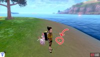 2/11: From Diglett 1, turn left so you&rsquo;re parallel to the mainland. Head to the far-off island with three trees (it might look like two trees). Upon arrival, travel clock-wise around the island. It&rsquo;s in the sand, on the side of the island that&rsquo;s facing the mainland.