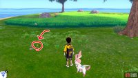 3/11: From Diglett 2, turn 180 degree so the mainland is behind you. Walk up to the nearby tree that&rsquo;s ahead. Then look to your left. It&rsquo;s pretending to be a pebble a few paces away.