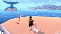 6/11: From the island where Diglett 2~5 were hiding, turn so the mainland is facing your right. Then swim towards the rocky island that&rsquo;s slightly on the left. Go past that island, to the islet just ahead to find your prey. There may be a Wailord nearby.