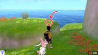 8/11: From Diglett 7, face the mainland and turn slightly left. There should be two islands not too far away. Swim to the island on the left. It&rsquo;s where the Galarica Cuff lady is. From the lady, check the raised land on the left.