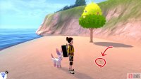 11/11: From the Galarica Cuff lady, enter the sea and turn left. Straight ahead, there&rsquo;s a small, isolated beach, right where the land begins to stop. The final Diglett is waiting in the sand, to the right of the berry tree.