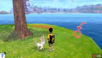 2/7: From Diglett 1, approach the nearby big tree. The second one&rsquo;s by the edge of the land, next to some pebbles, to the right of the tree.